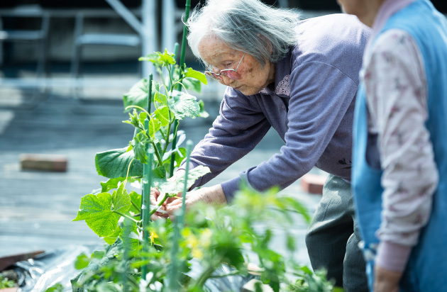 フロア紹介：菜園 写真